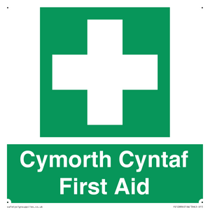 Cymorth Cyntaf First Aid in Welsh
